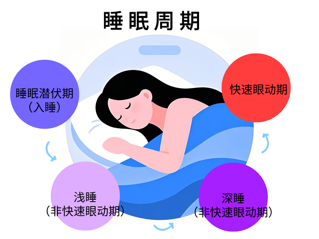 睡觉呼吸频率多少算危急