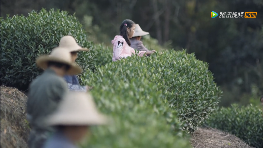 《三十而已》越看越氣，不如安排一波夏日避暑之旅放松一下！ 旅遊 第4張