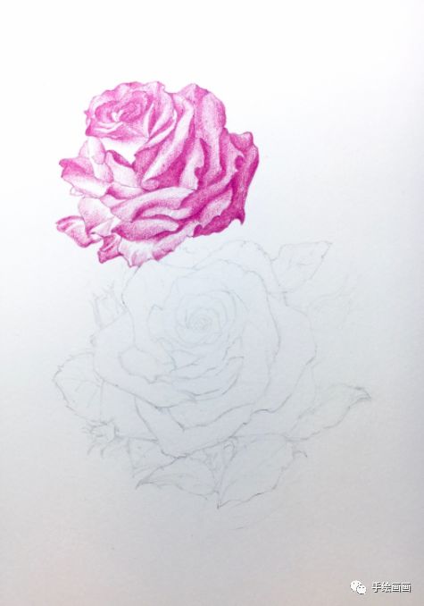 彩铅系列 画组合花的步骤 手绘画画 微信公众号文章阅读 Wemp