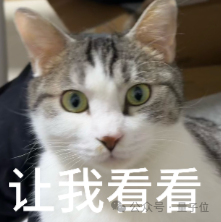 逐际动力人形机器人Oli全自主家务Demo 长程操作比肩Figure