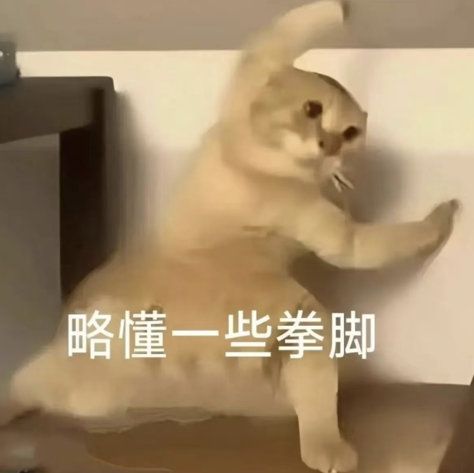 上海阶跃星辰发布全球首个智能体原生操作系统Step AOS 2026