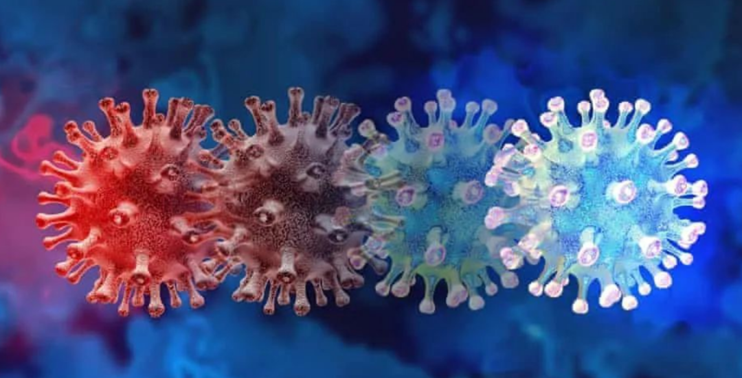 »𰲣׿ֽ𼸺ȫ¹ڲ