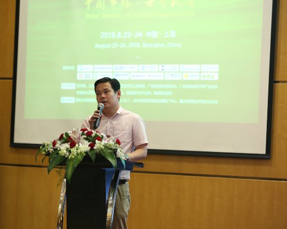 新能源汽車產業峰會在上海舉行 中國市場·世界機遇