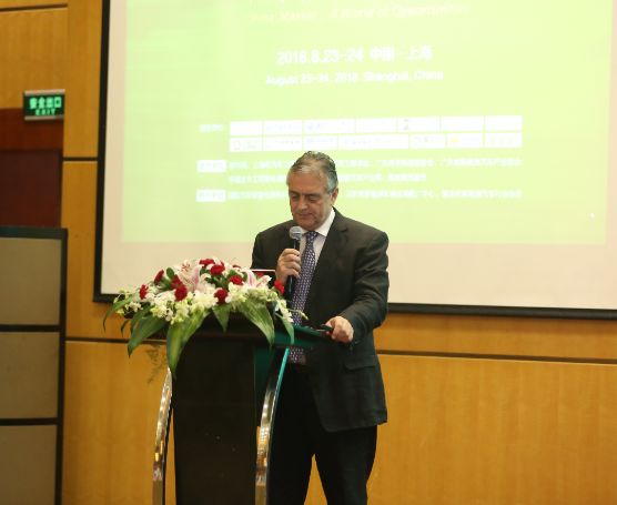 新能源汽車產業峰會在上海舉行 中國市場·世界機遇