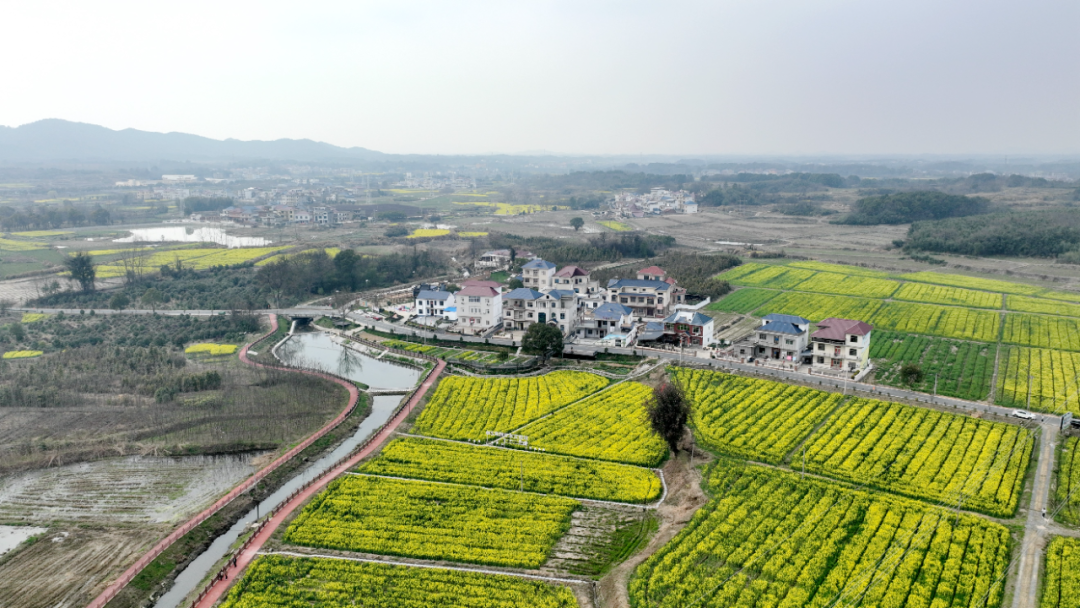 湖口武山镇天山风景区图片