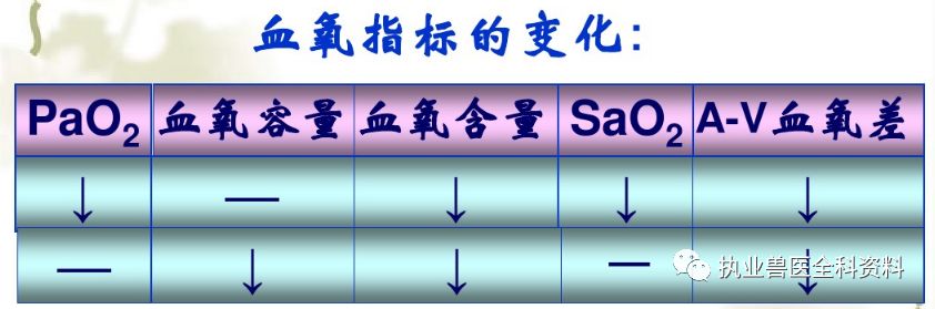 动物怎么测血氧第五篇 动物病理学（七）-- --缺氧_https://www.jmylbn.com_新闻资讯_第5张