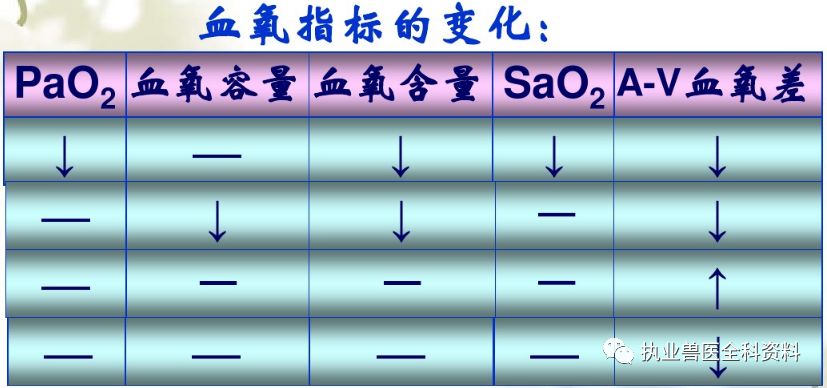 动物怎么测血氧第五篇 动物病理学（七）-- --缺氧_https://www.jmylbn.com_新闻资讯_第7张