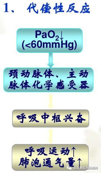 动物怎么测血氧第五篇 动物病理学（七）-- --缺氧_https://www.jmylbn.com_新闻资讯_第9张