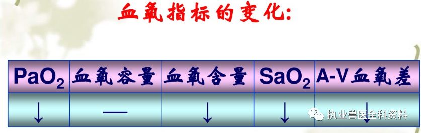 动物怎么测血氧第五篇 动物病理学（七）-- --缺氧_https://www.jmylbn.com_新闻资讯_第3张