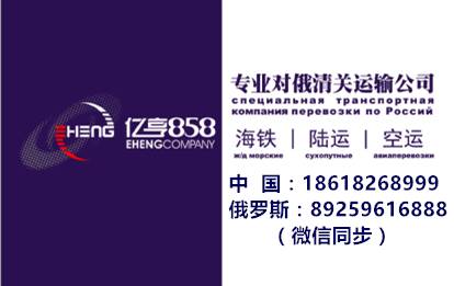 2018年起在俄头胎或二胎家庭平均每月将获175美元补助