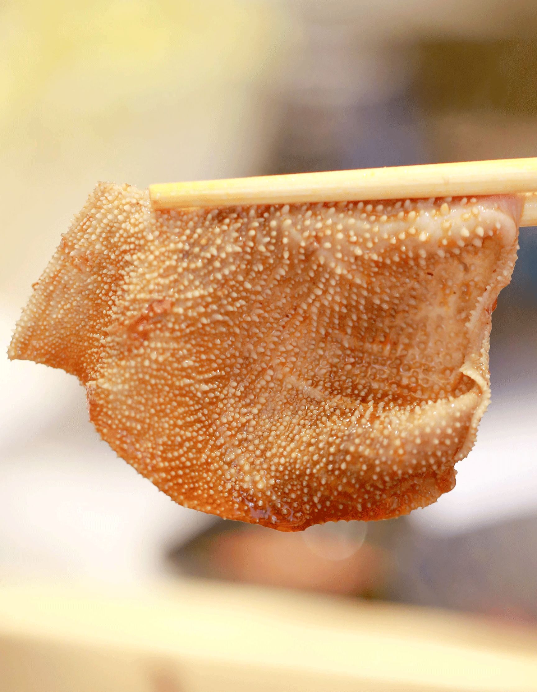 只有最新鲜的毛肚才能 不畏弹力拉扯的考验,可以想象,这么弹的毛肚吃