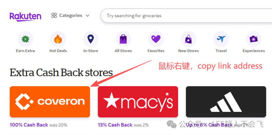 自动化工具升级版 支持返利网换链与谷歌广告自动写入