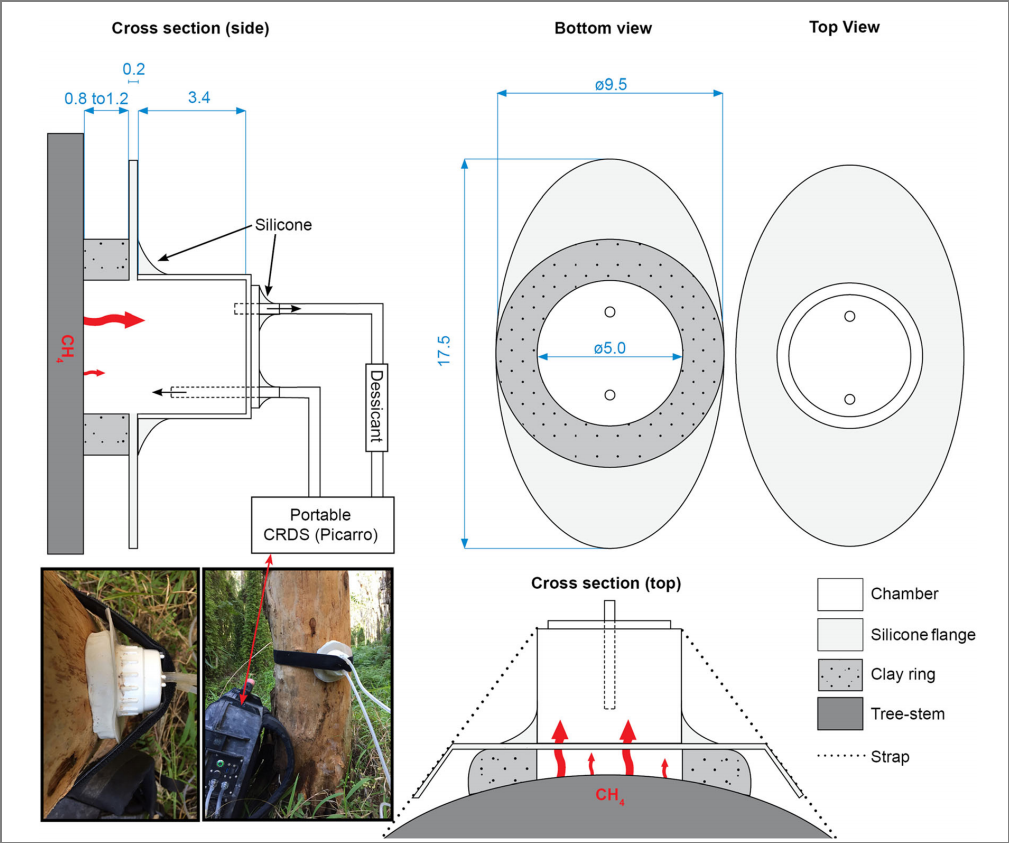 探索树茎温室气体排放的新视角：Picarro技术的应用
