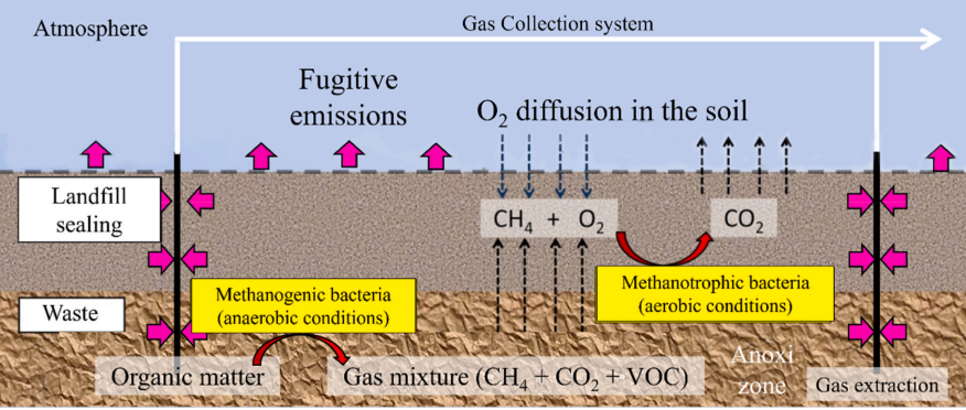 利用穩(wěn)定同位素技術研究西班牙垃圾填埋場甲烷氧化的量化過程