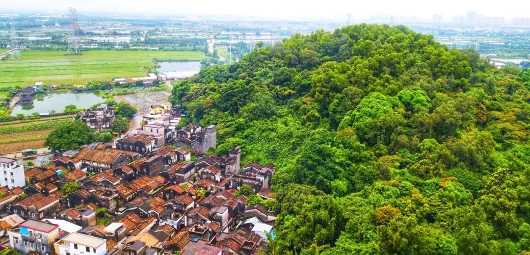 大涌镇"铁腕治污",环境质量改善显著