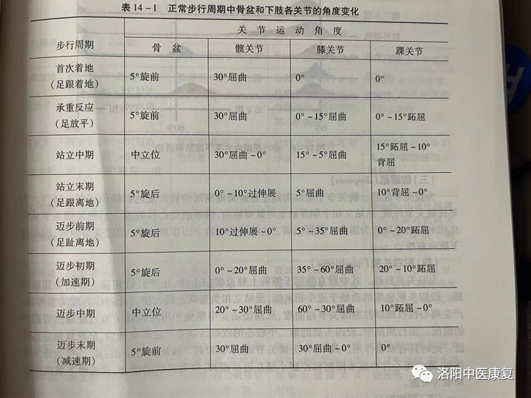 步态分析上曲线怎么解读第85期【康复讲堂】武强强主管治疗师：《步态分析》_https://www.jmylbn.com_新闻资讯_第15张