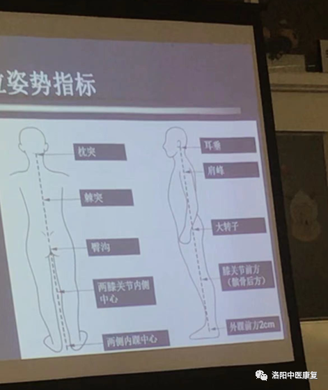 步态分析上曲线怎么解读第85期【康复讲堂】武强强主管治疗师：《步态分析》_https://www.jmylbn.com_新闻资讯_第7张