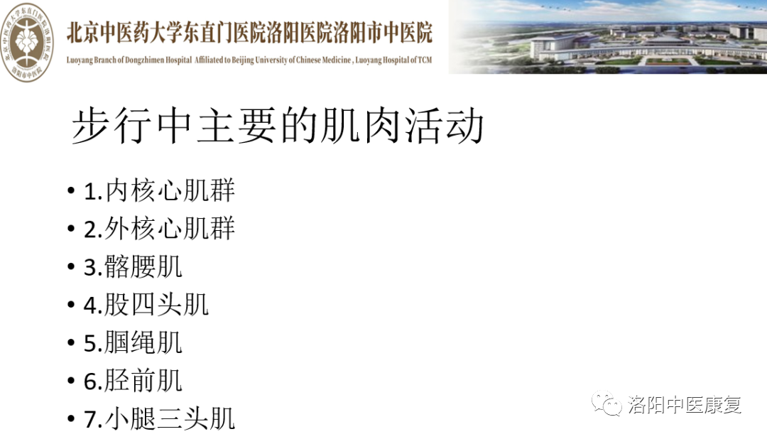 步态分析上曲线怎么解读第85期【康复讲堂】武强强主管治疗师：《步态分析》_https://www.jmylbn.com_新闻资讯_第16张