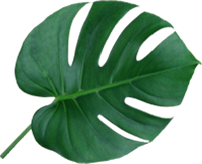 感应加热在真空中应用