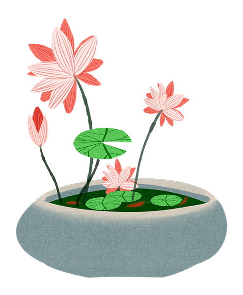 百布堂·小滿(mǎn)