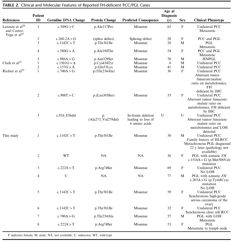fh染色是什么意思【前沿编译】FH缺失型嗜铬细胞瘤和副神经节瘤的临床病理和分子特征分析_https://www.jmylbn.com_新闻资讯_第12张
