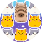 应用icon-土耳其猫咪消除2024官方新版