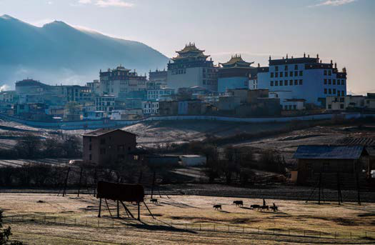 藏式木地板_木格子地板_天格地板印茄木