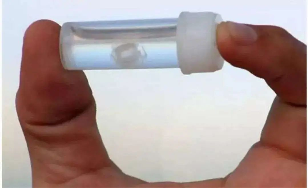 每天一分钟看世界！6月9日，农历 五月十一星期四，历史上的今天和生活冷知识