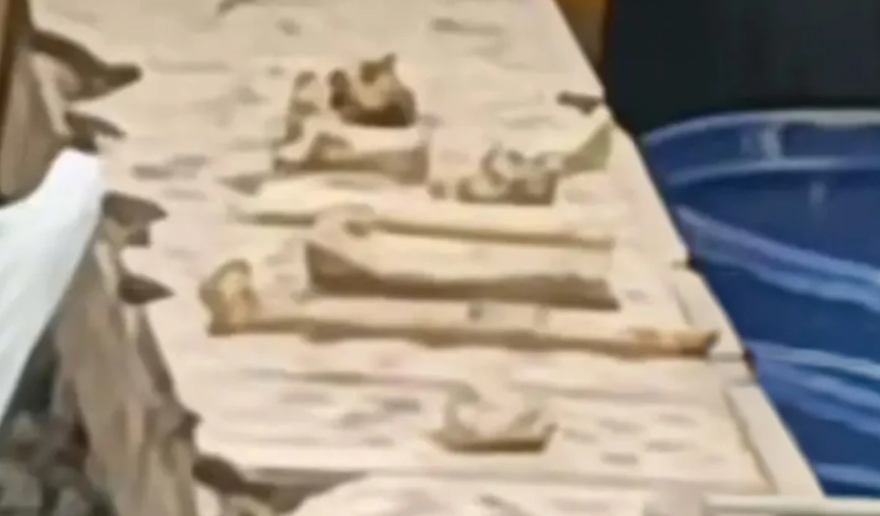 Chengdu Man Arrested After Fabricating Rooftop Child Grave Hoax