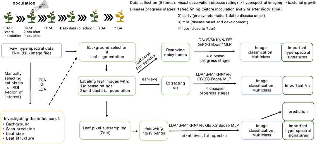 Resonon | 高光譜成像儀在番茄細菌性葉斑病早期檢測方面的應用