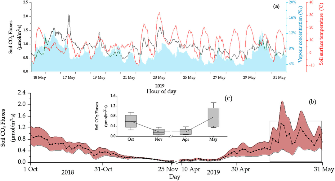 2018–2019年大兴安岭北部近地表土壤冻融期森林土壤CO2和CH4通量