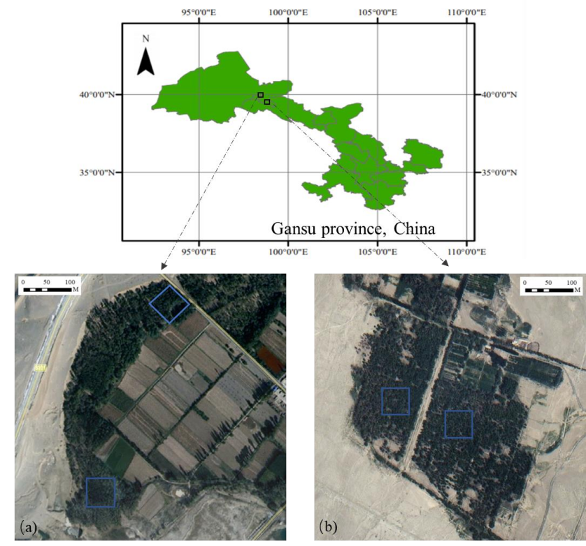 使用高光谱和激光雷达数据区分杨树林中的生物胁迫和非生物胁迫