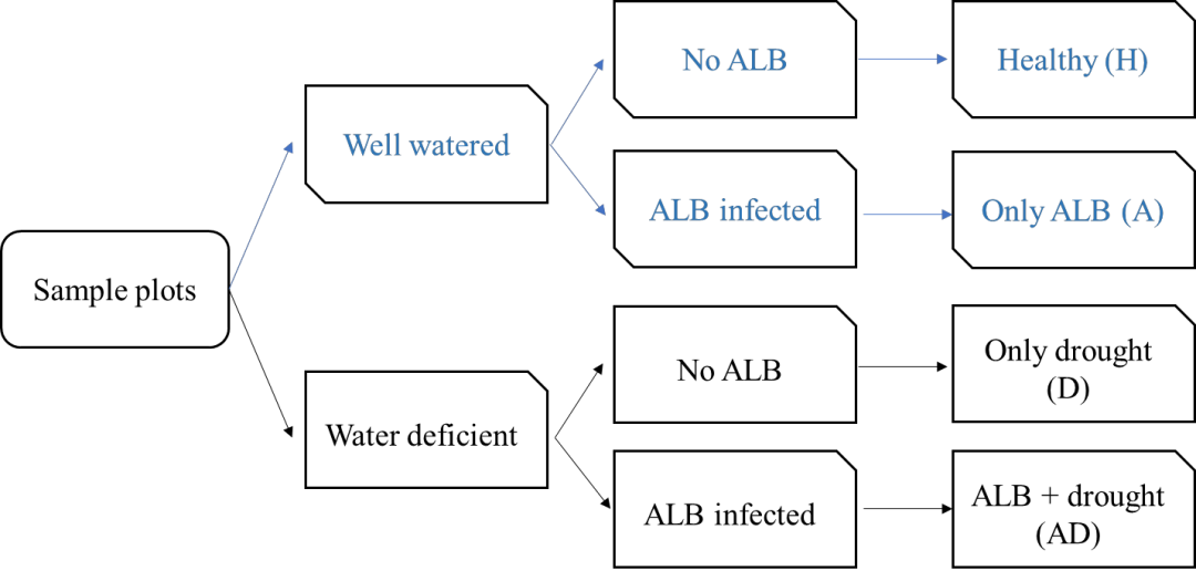 使用高光谱和激光雷达数据区分杨树林中的生物胁迫和非生物胁迫