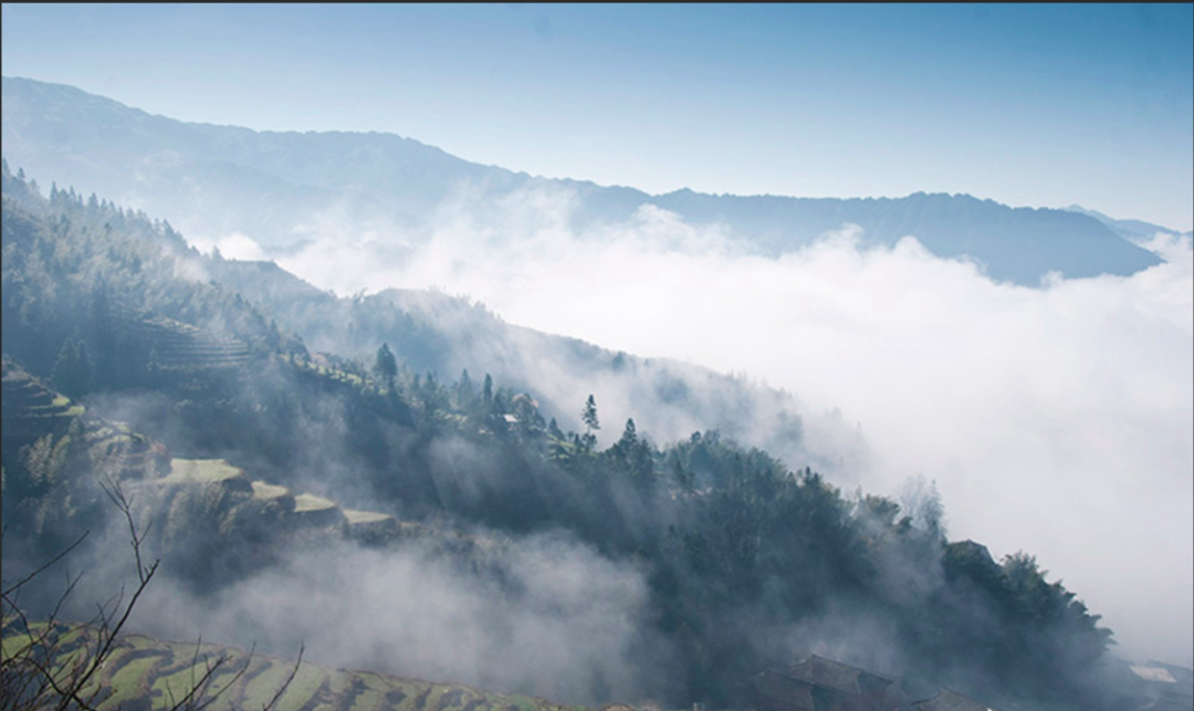 Picarro | 棕色碳發(fā)色團光學性質(zhì)和化學成分之間的聯(lián)系