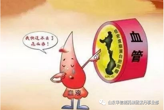 【华信制药】长期服用他汀类降脂药，要定期去医院做这4个检查，很重要！