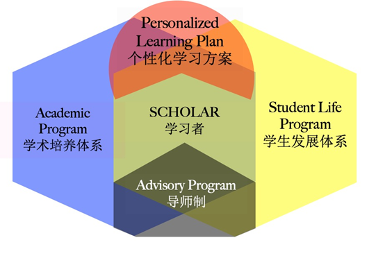 选择优质国际教育却陷入“鸡血洋高考”? ——听这所美式精英学校管理团队如何说插图10 选择优质国际教育却陷入“鸡血洋高考”? ——听这所美式精英学校管理团队如何说插图10