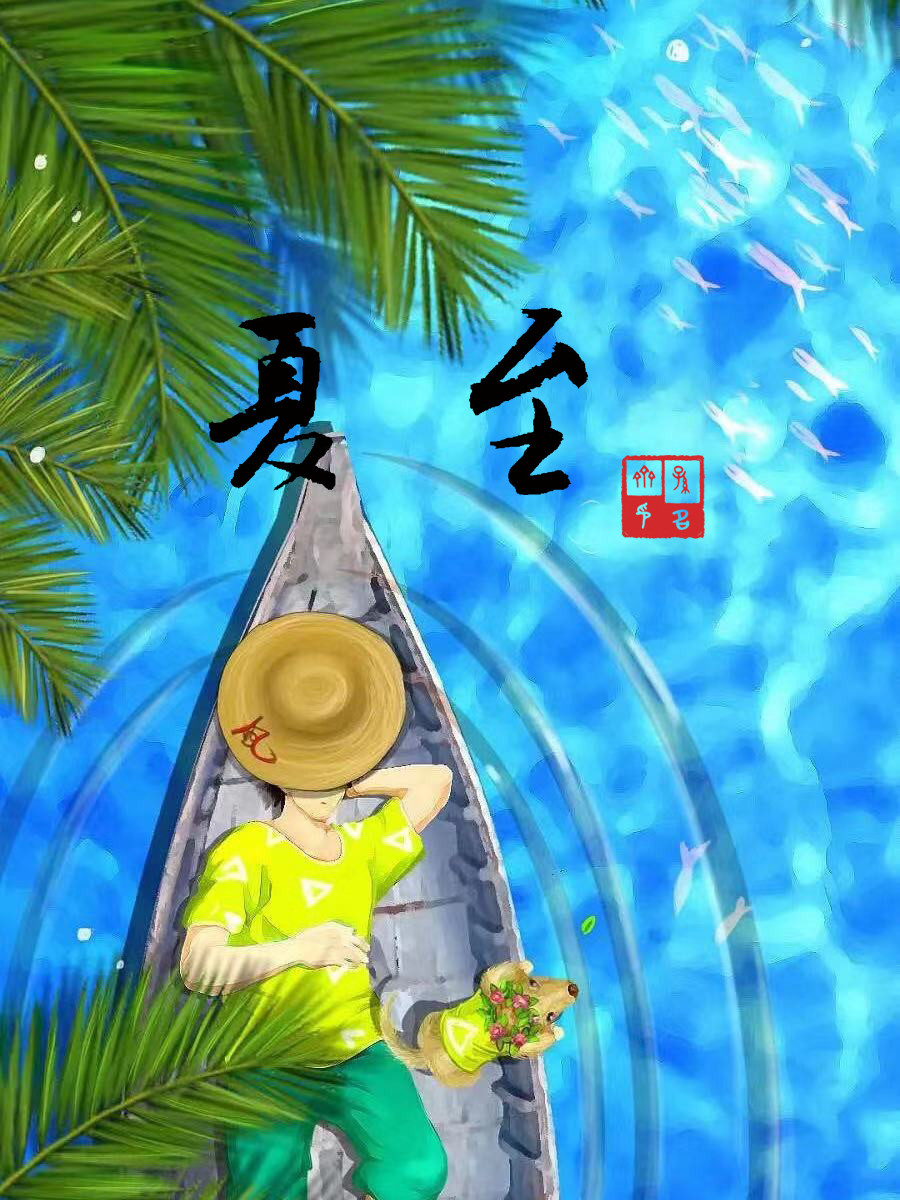 ​夏至如约，从容如荷