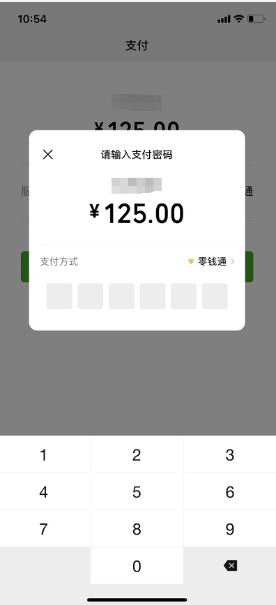 functionalpagenavigator跳转到支付功能页弹出微信支付框点关闭ios
