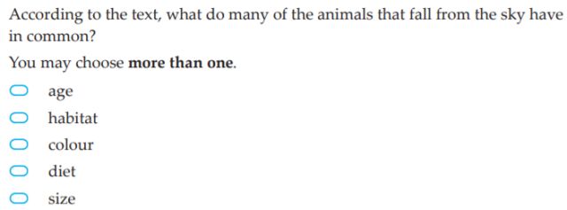 practice naplan tests