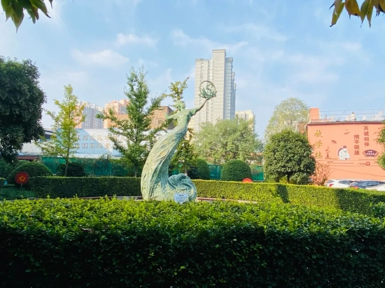 注射器哪里是无菌的一起来了解安全注射的几个关键点_https://www.jmylbn.com_新闻资讯_第11张
