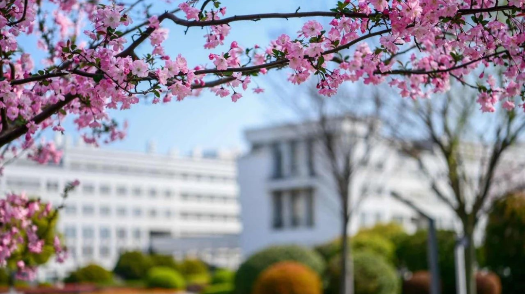 2023年上海大学招生简章录取分数线_上海各大学招生分数线_上海每所大学的录取分数线