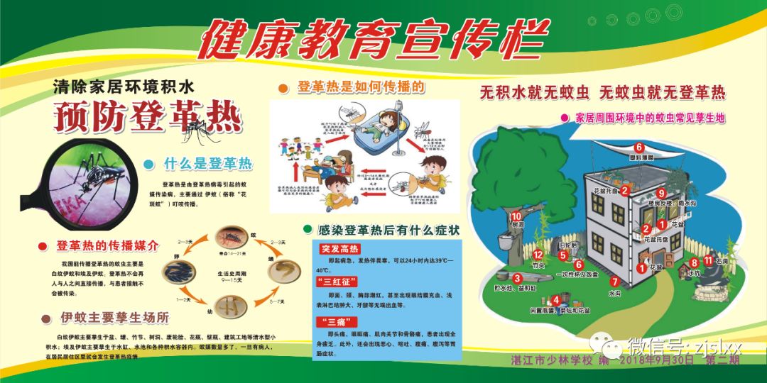 【防控登革热，少林在行动】