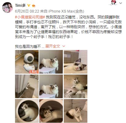 猫 死_猫 白血病 多久死_死猫