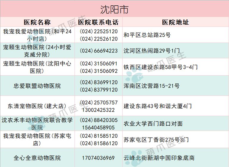 吐血整理 你想要的24h动物医院都在这了 萌爪医生 微信公众号文章阅读 Wemp