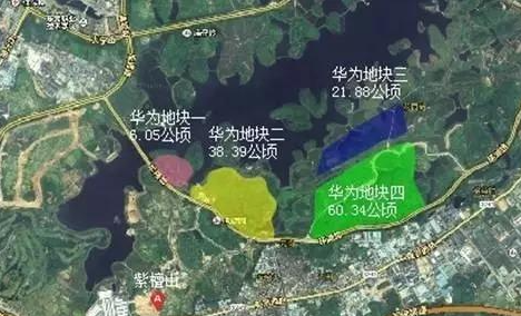 美团、B站制霸&ldquo;上海滩&rdquo;，大佬们的&ldquo;圈地运动&rdquo;