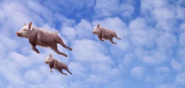 能讓豬飛起來的，都不是正常的風