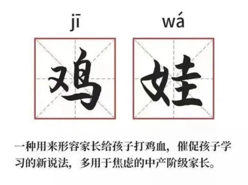 一个暑假的时间，教育就变了天