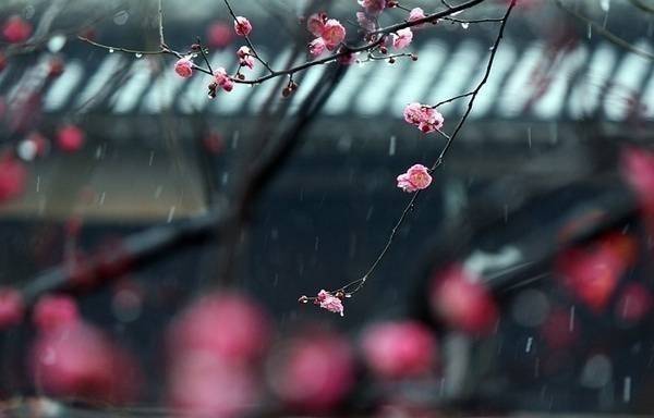 人有了三“顺”，一顺则百顺！