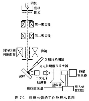 金屬科研“神器”：掃描電子顯微鏡原理及應(yīng)用的圖4