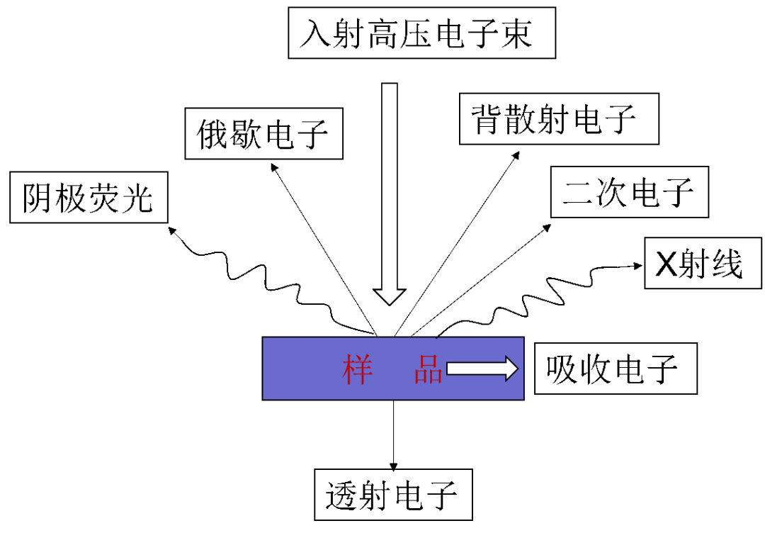 金屬科研“神器”：掃描電子顯微鏡原理及應(yīng)用的圖6